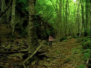in the woods / mesa sto dasos / in the woods (2010)