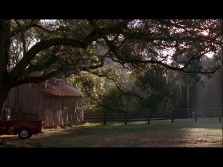 dreamboy (2008) [sub castellano]
